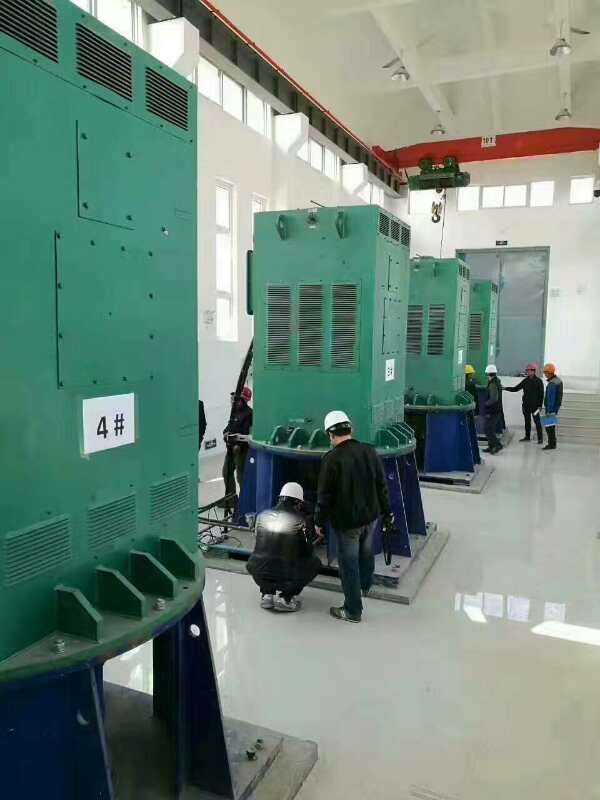 张金镇某污水处理厂使用我厂的立式高压电机安装现场